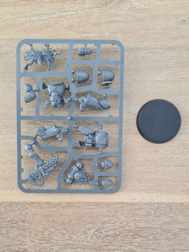 Special Edition Primaris Infernus Sergeant