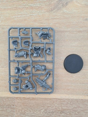 Special Edition Primaris Infernus Sergeant