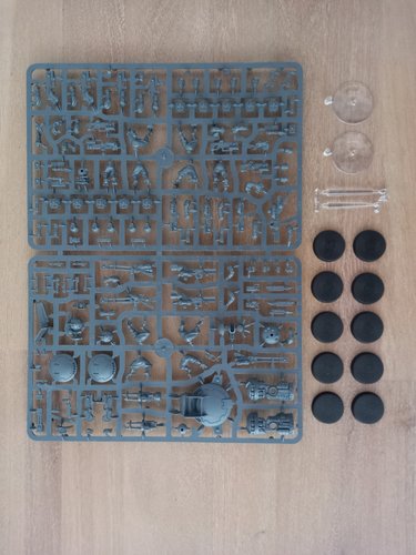 Pathfinder Team Sprue