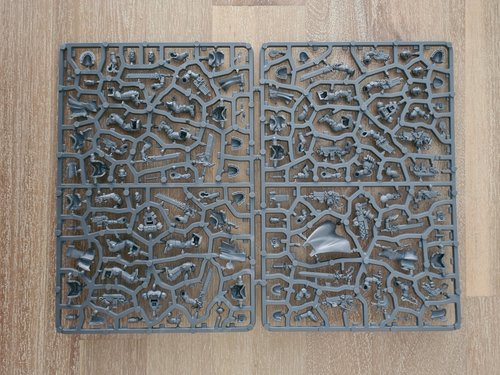 Primaris Crusader Squad Sprue