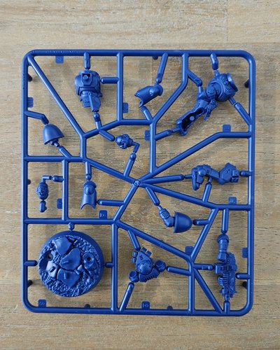 Brother Vignius Sprue