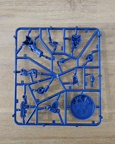 Brother Vignius Sprue