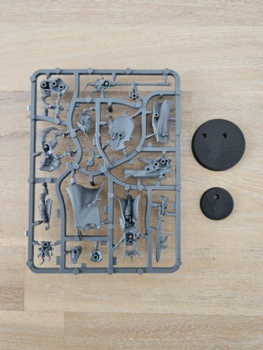Lord-Veritant with Gryph-crow Sprue