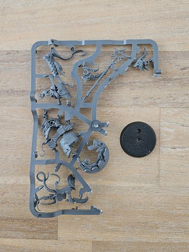 Grey Seer Sprue