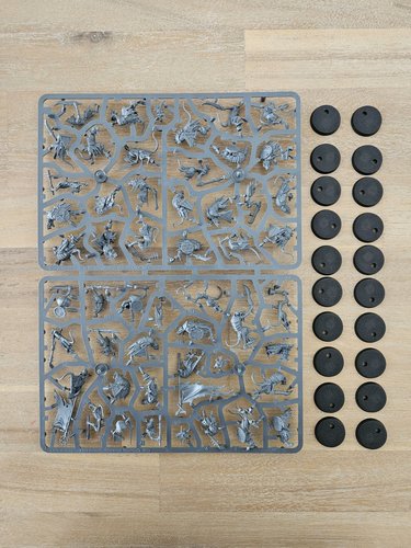 Skaven Clanrats Sprue