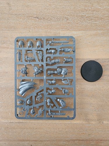 Blood Angels Captain Sprue