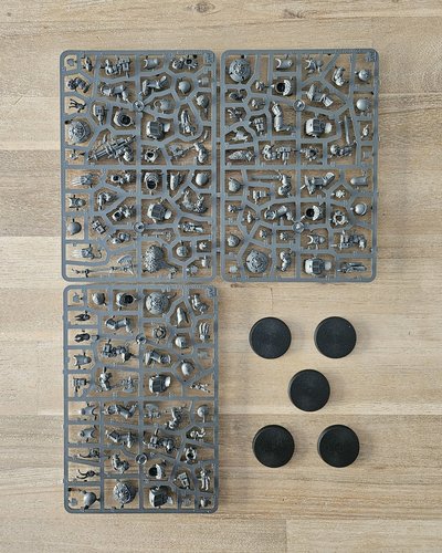 Wolf Guard Terminators  Sprue