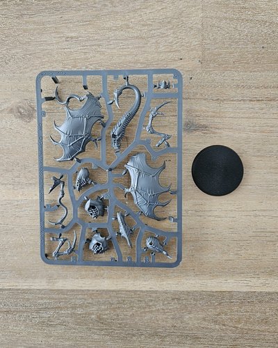 Parasite of Mortrex sprue