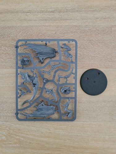 Winged Tyranid Prime sprue