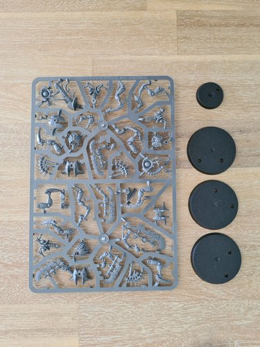 Skorpekh Destroyers sprue