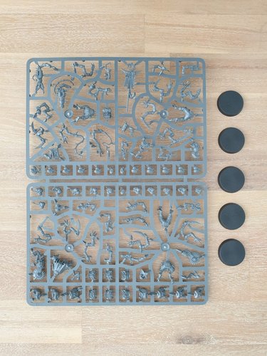 Hybrid Metamorphs / Acolyte Hybrids sprue