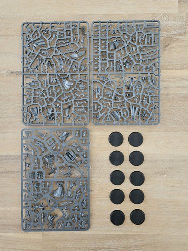 Battle Sisters sprue