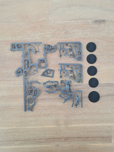 Sisters Repentia sprue