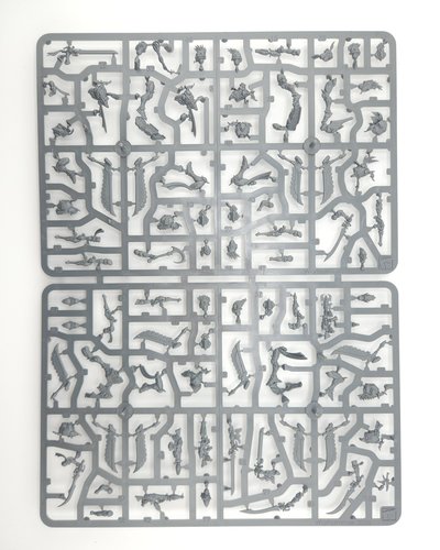 Corsair Skyreavers sprue