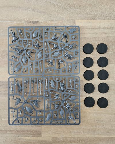 Kairic Acolytes sprue