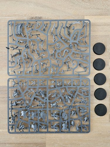 Tzaangors sprue