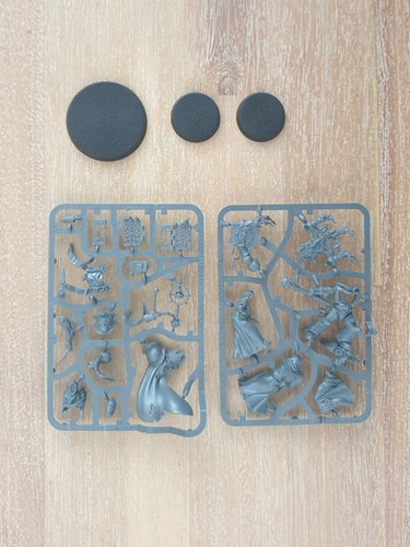 Dark Apostle sprue