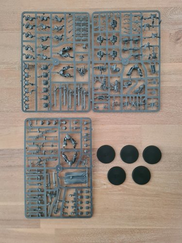 Grey Knight Paladin / Terminator Squad sprue