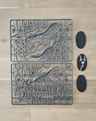 Akhelian Ishlaen / Morrsarr Guard sprue