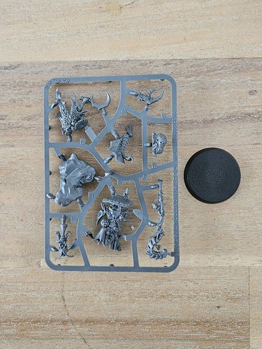 Fungoid Cave-Shaman sprue