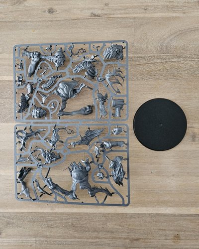 Trugg the Troggoth King sprue