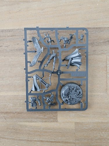 Shakana Goldenblade sprue