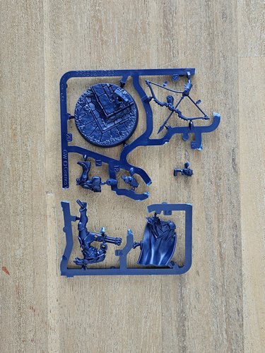 Luxa Stormrider sprue