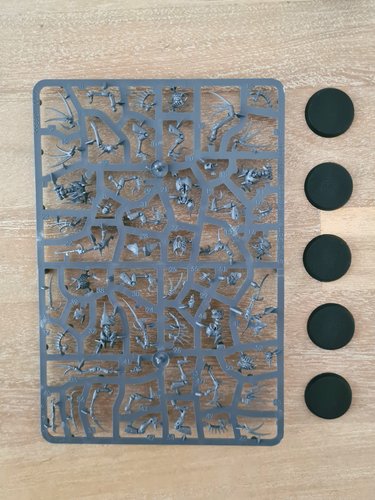 Flayed Ones sprue