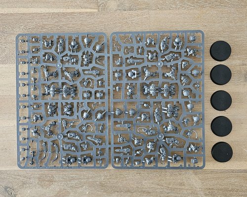 Einhyr Hearthguard sprue