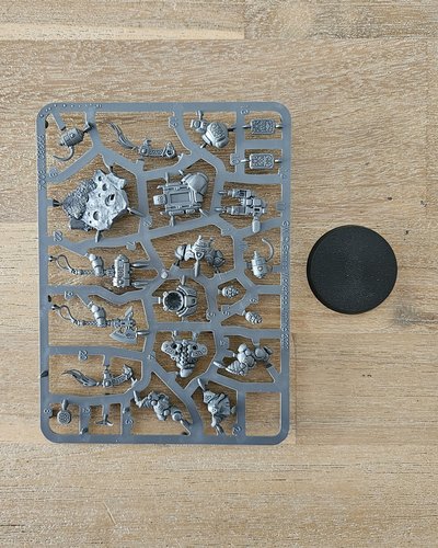 Einhyr Champion Sprue
