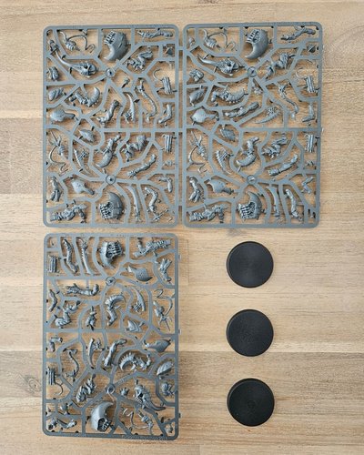 Hive / Tyrant Guard sprue