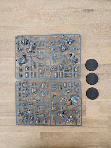 Allarus Custodians sprue