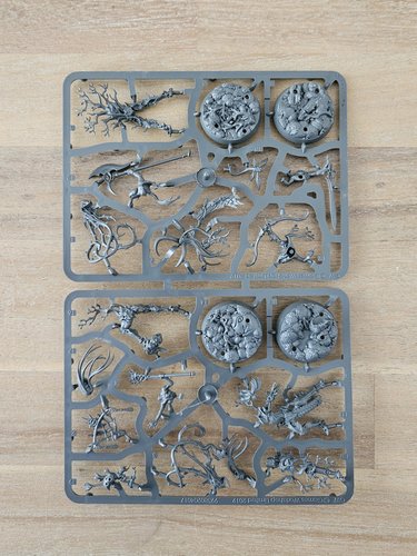 Ylthari’s Guardians Sprue