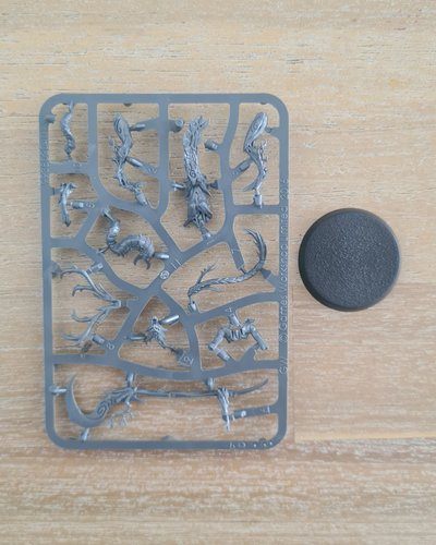 Branchwych sprue