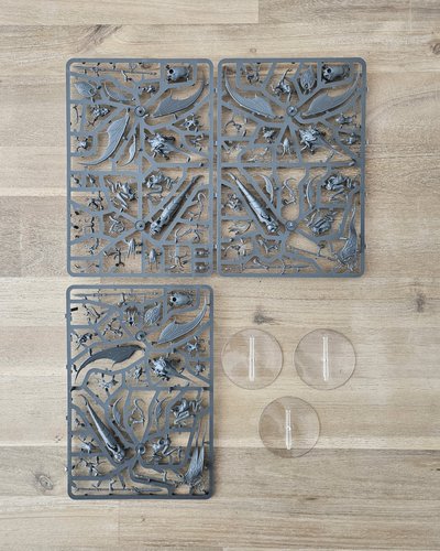 Revenant Seekers / Spiterider Lancers sprue