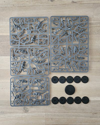 Termagants sprue