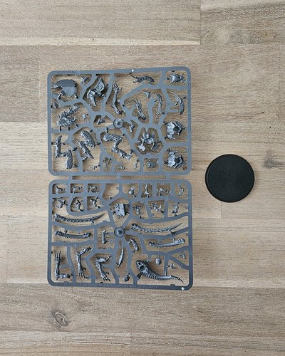 Lictor sprue
