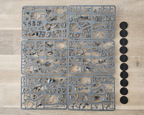 Sisters of Slaughter / Witch Aelves sprue