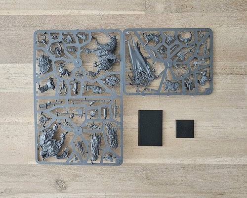 Aspiring Champion sprue