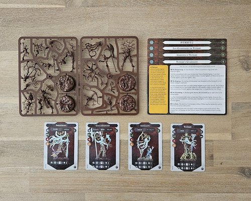Ylthari's Guardians sprue and cards