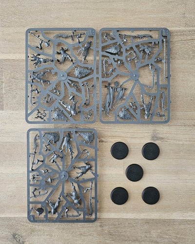 Barrow Guards sprue