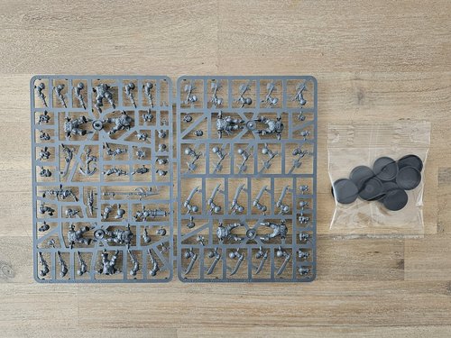 Arkanaut Company sprue