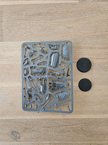 Freeguild Marshal and Relic Envoy sprue