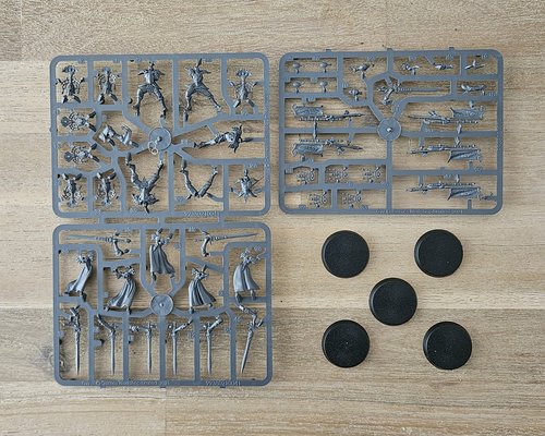 Vanari Bladelords sprue