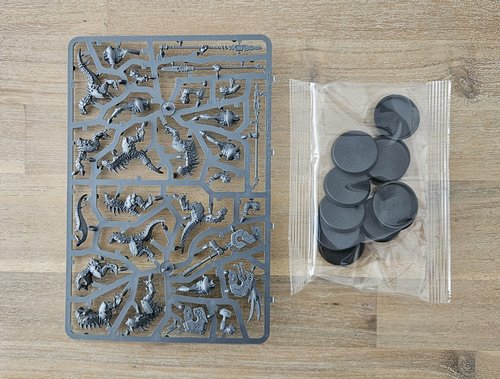 Saurus Warriors sprue