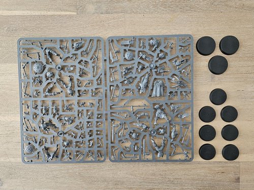 Darkoath Savagers sprue
