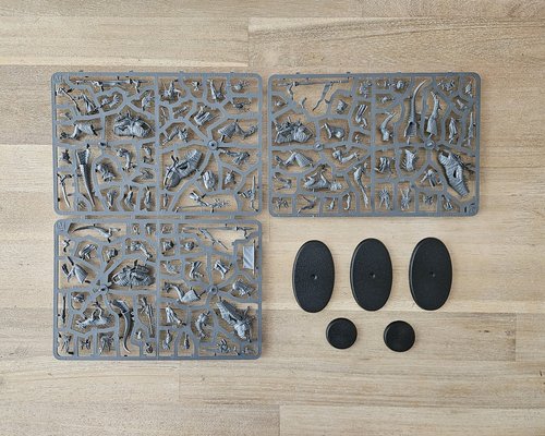 Exodite Dragon Masters Kill Team sprue