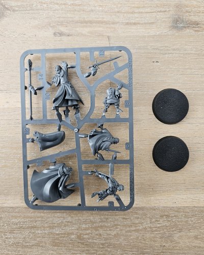 Gandalf™ the White and Peregrin Took™ sprue