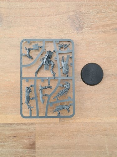 Kroot Flesh Shaper Sprue