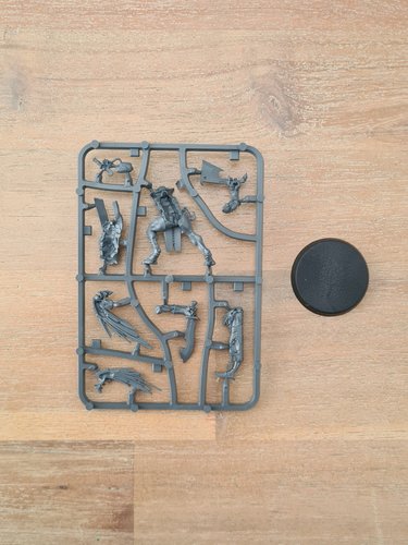 Kroot Flesh Shaper Sprue
